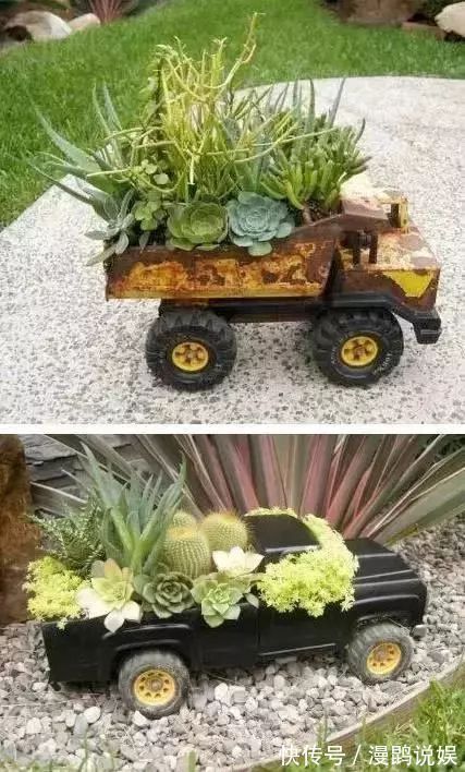 小花|别再花钱买普通花盆了,你意想不到的种花神器!