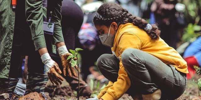 二氧化碳 地球的温度真的降不下来吗?其实有办法,传统方法或可胜过黑科技