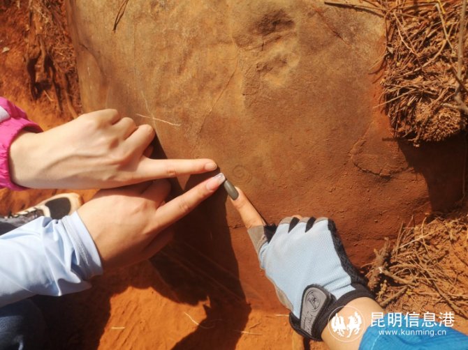 多样性|50名中外师生探寻生物多样性的秘密