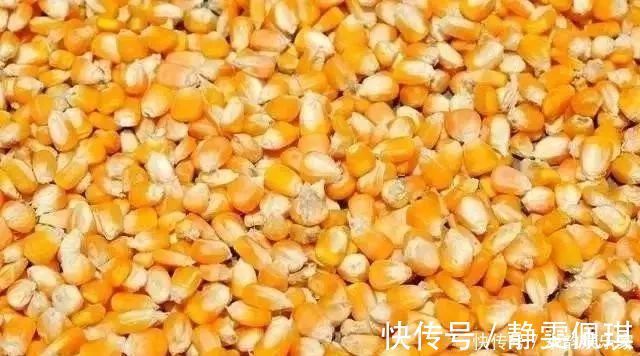 钓鱼比较费钱成本不足半瓶维它米,钓上来128斤鲫鱼