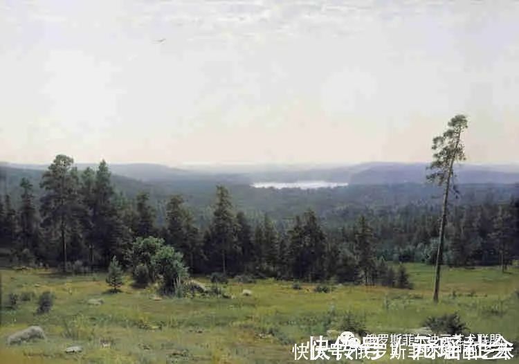 松树林&俄罗斯风景画大师希施金风景画精品油画作品欣赏