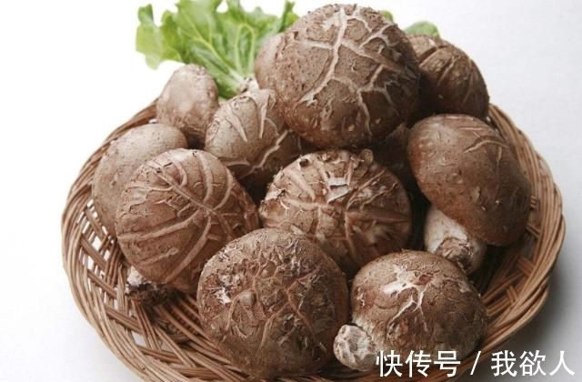 香菇不能和这个东西一起吃，你们知道吗