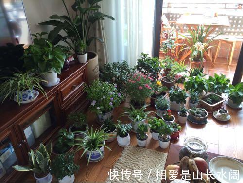 二人餐|媳妇装新房,卫生间砌“半墙”,阳台成“绿森林”,被邻居赞爆了