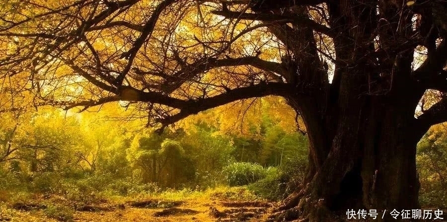 老子$读懂《道德经》,从孔子问道于老子的一段对话开始