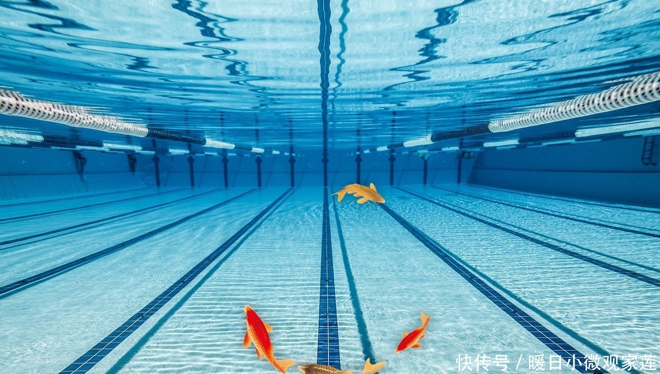 一号位|怎样找到鱼道?寻找鱼道的方法,寻找鱼类觅食路线的技巧