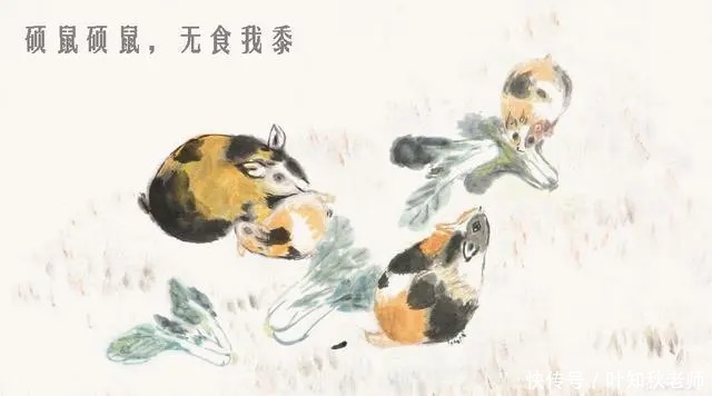 诗经|知秋老师读《诗经》:硕鼠硕鼠,无食我黍——一首劳动者鄙夷剥削者,向往乐土的歌!