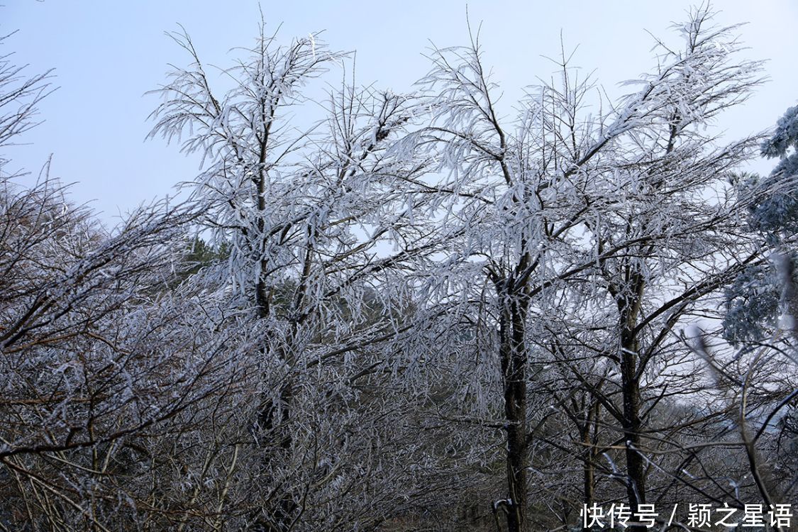 黄泥浆岗|宁波第二高峰，雪国风光，雾凇奇观