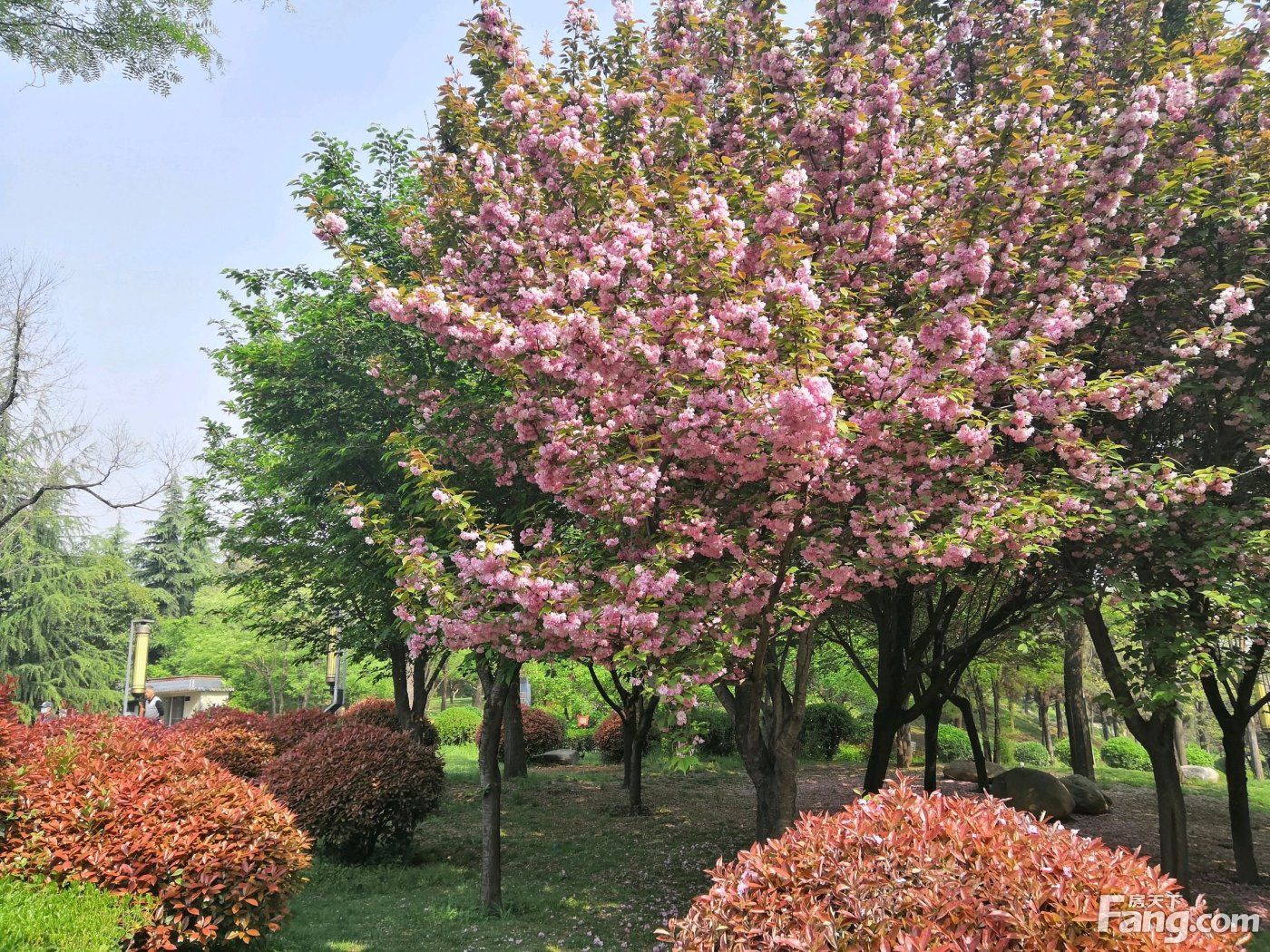 实景|想看西安城南楼盘的最新现场实景，选房一定要看