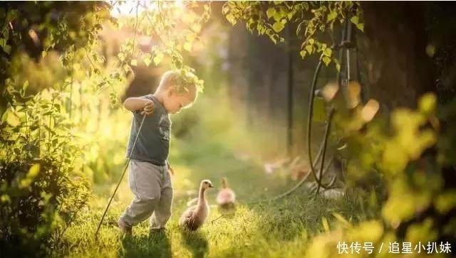 收藏|有儿子的都需要这样一份“使用说明书”,越早收藏孩子越优秀!