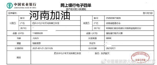 捐款|尽一份力！丁真和家乡村民捐款11万6千元驰援河南