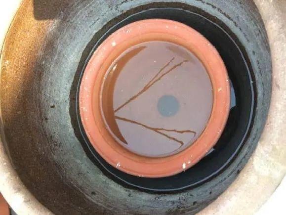 蟹爪兰|长寿花换盆，切忌越换越大，一直用小盆养才好！