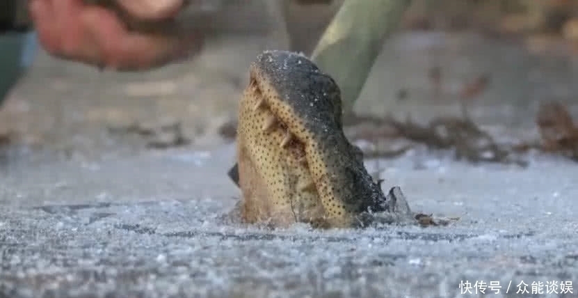 男子|湖面上冻着一只“皮鞋”,男子想一脚踢飞,仔细一盯笑坏了