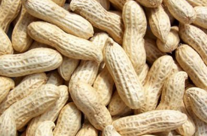 长寿药|最便宜的“长寿药”终于被发现,家家户户都有,推荐最佳吃法