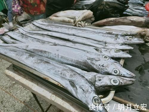 海鲜|过年买带鱼，先别管价格，见到这4种要留心，为了家人白给也不要