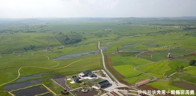 绿树|实拍国家一号风景大道：花香醉人，绿树成荫，好山好水还不花钱