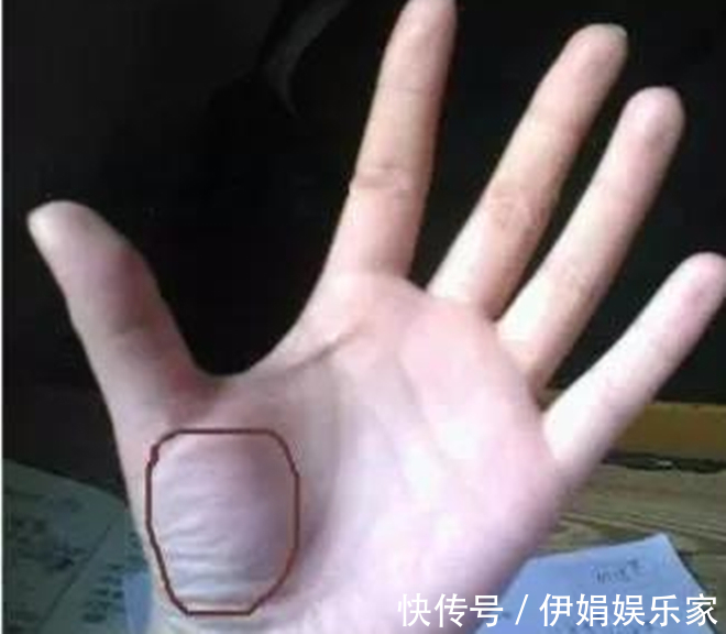 肺经|手上的这块肉,是健康的“报警器”,一看就知身体好坏,很灵的