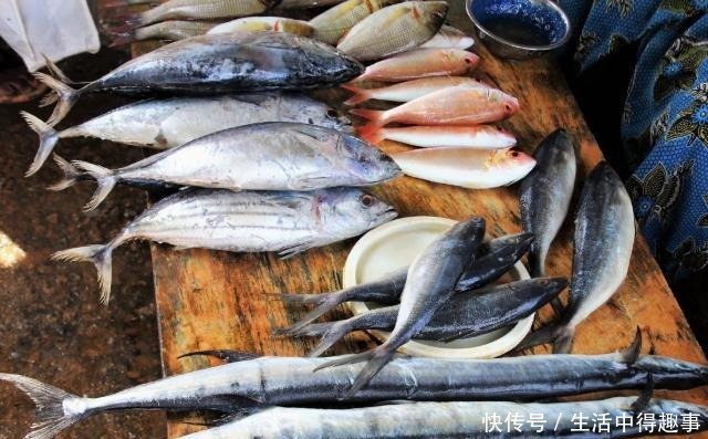 5种公认最好吃的海鱼,识货的抢着买,连老板都会给自己留一两条