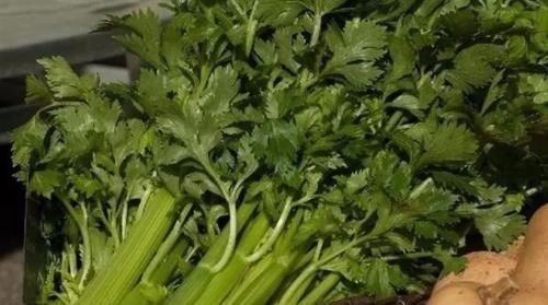 膳食纤维|炒芹菜不能放此物,吃了就是没病找病!却还有人不清楚