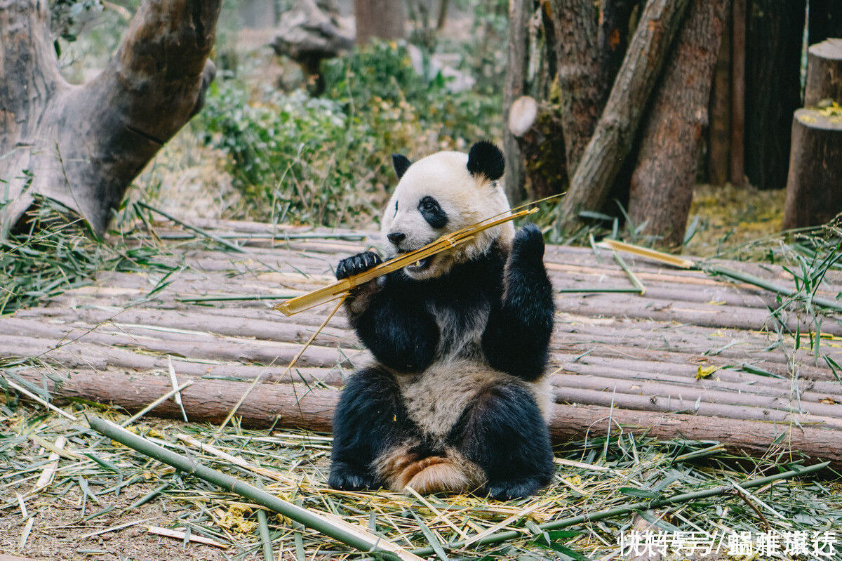 文艺范儿|中国8个适合带父母旅游的城市，风景优美有意义，你会考虑哪个？