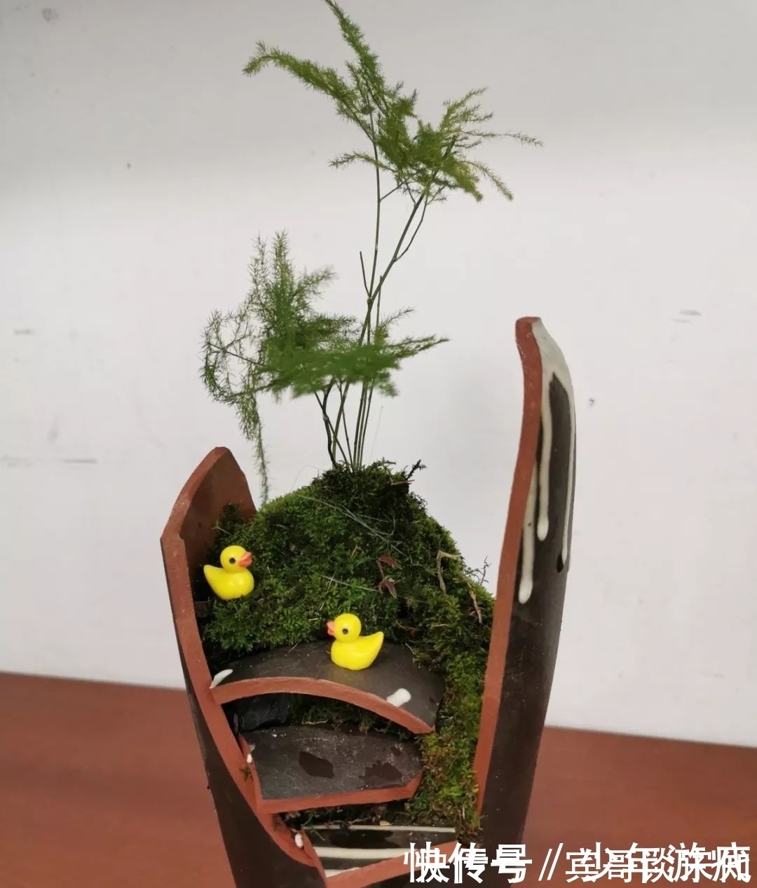 花园|养花技巧：客厅养一堆便宜花，一年四季开不停，没钱也能变花园！