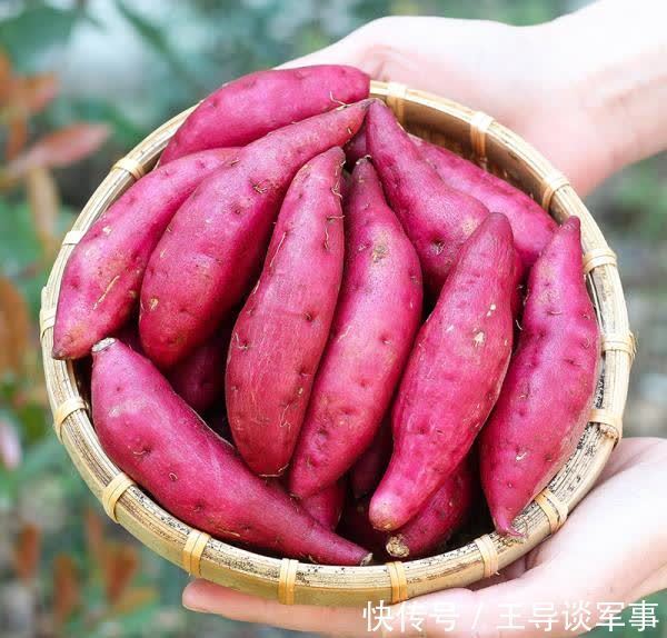 皱纹|女性养生,秋天坚持吃的好食物,淡化皱纹,延缓衰老,越吃越好