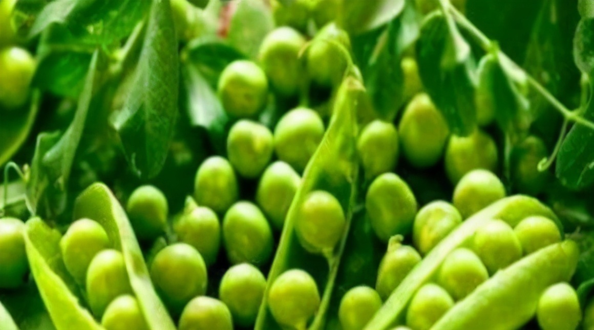 女性不愿老太快,那就多吃3种食物,补充营养,身体棒棒哒!