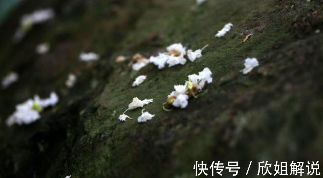 钱镠&晚唐高僧贯休这首《落花》,第一句就写得很美,蝶醉蜂痴一簇香