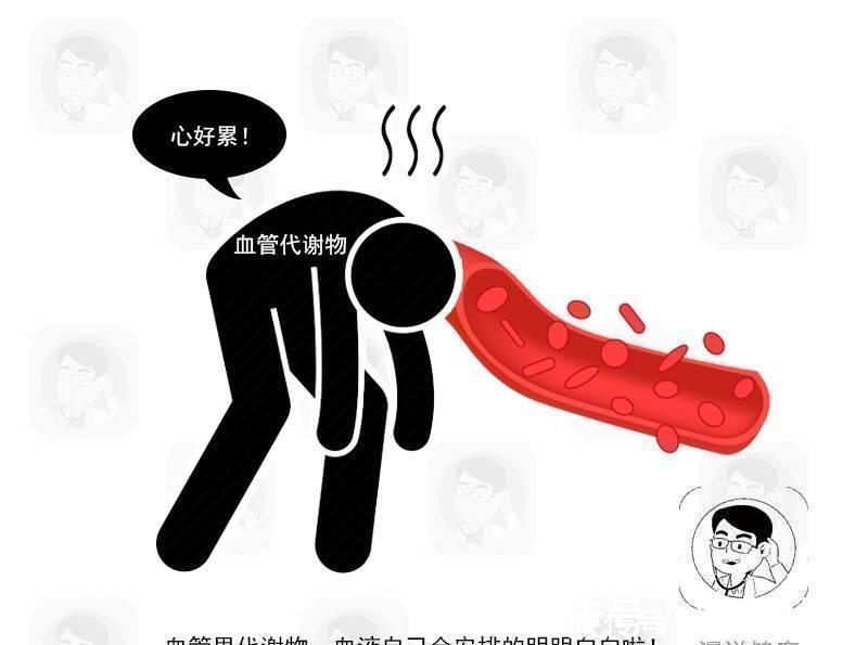 预防血栓|血液在一天中这2个时间段最黏稠,这时喝水,更能预防血管病