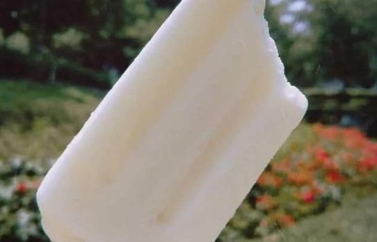 美味|这五种冰淇淋被认为是最美味的网友吃完就舔棍子,不然太浪费了