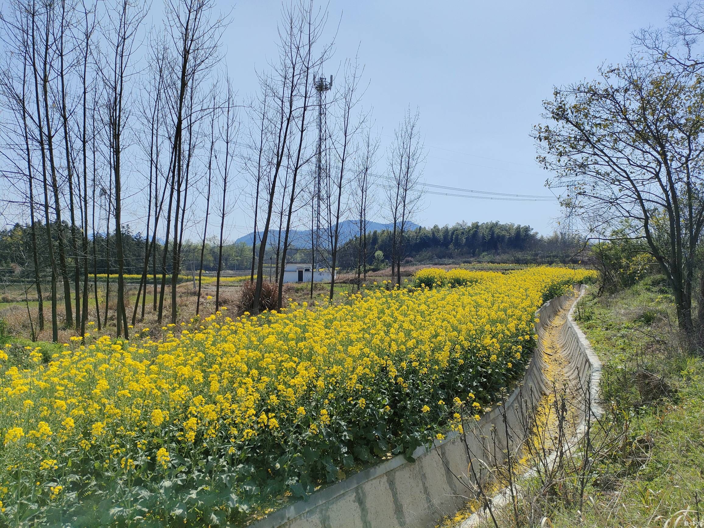 春暖花开，踏青正当时