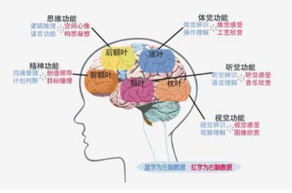 放学后别催孩子写作业，李玫瑾先花十分钟做2件事，专治磨蹭娃