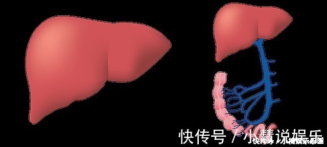 养肝|90岁退休肝科主任,提醒:多吃“一物”,养肝更护肝