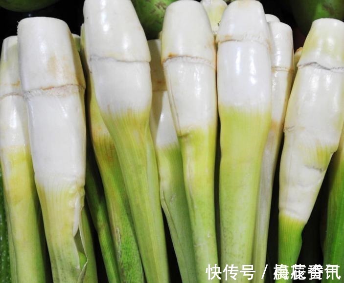 哺乳期|哺乳期最适合的8种素食,吃一口每天涨奶800ml,值得学习