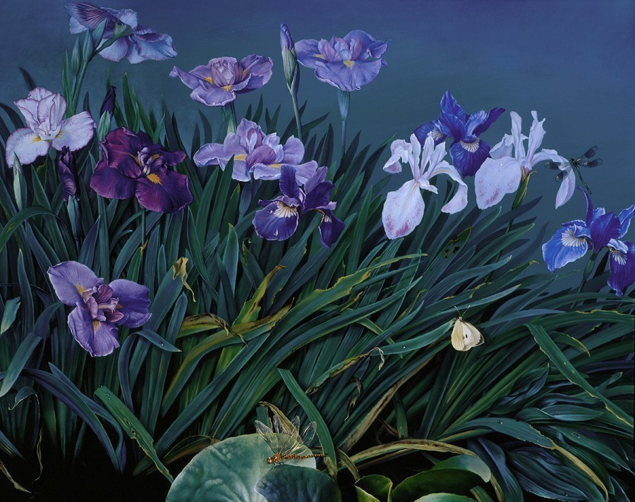 巴塞罗那@西班牙超写实油画大师marcEscofet:大自然的灵魂画师