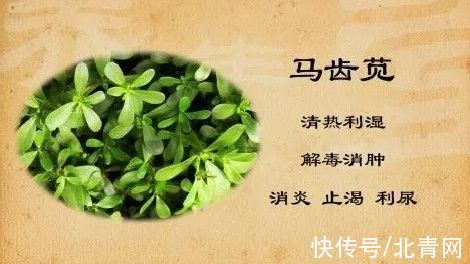 本草纲目|1/6的癌症都是炎症引起的!4类“促炎”饮食,让身体炎症越来越高发!别再吃错了