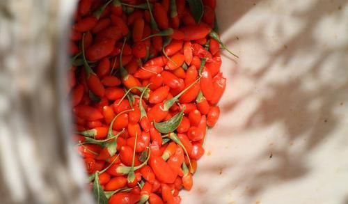 警惕：枸杞子有3大副作用。不要不當(dāng)回事