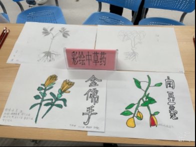 苗苗|我们一起打苗苗，一起学习中医药