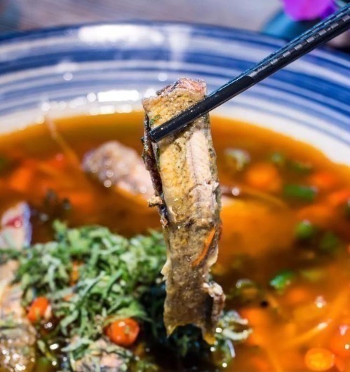 甲鱼|最好吃的鱼，营养是甲鱼8倍，16块钱一斤，比肉便宜无人买