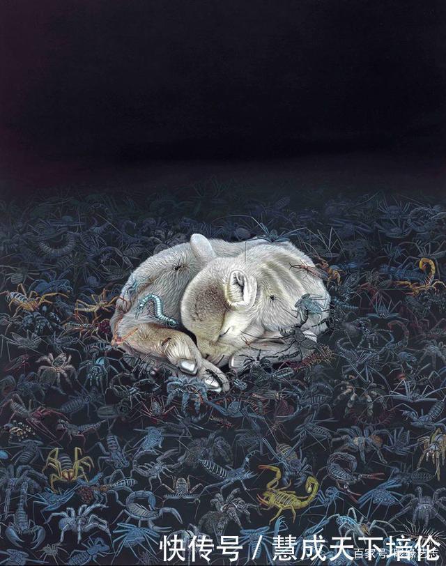 感恩|博齐奇的自然幻境异想天开的科学艺术,感恩生命的生物美学