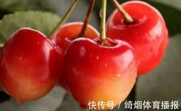 碧护|樱桃美容养颜、调理肠胃，农民掌握施肥要点，收获吃不完的樱桃
