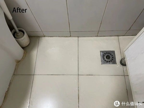 泡腾片|住范儿好物清单 篇二十三：这8件卫生间清洁神器，我愿意回购1万次！