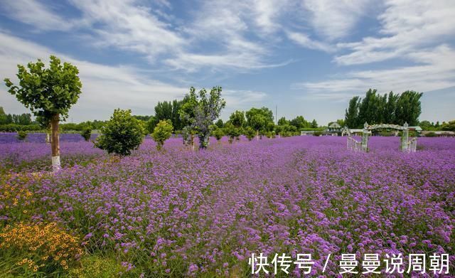 夏日|泉城夏日的“彩虹糖”里，竟然藏着你不知道的秘密……