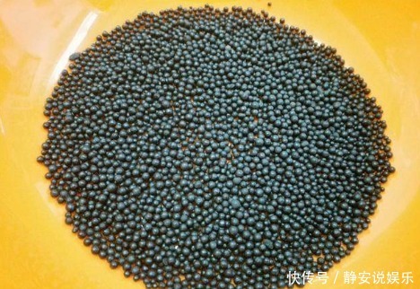 西红柿烂了别再丢掉了!其实它特别值钱,10个人9个用得到