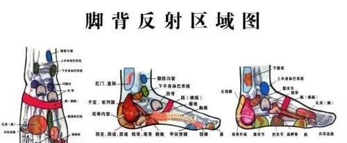  寒湿脚下起，病从脚底除！老中医绝招：一病一方，给五脏吃补药