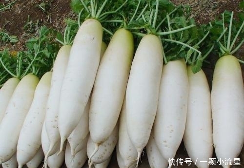 白萝卜和此物一起炖,色斑没了,免疫力提高了,给身体做个大扫除