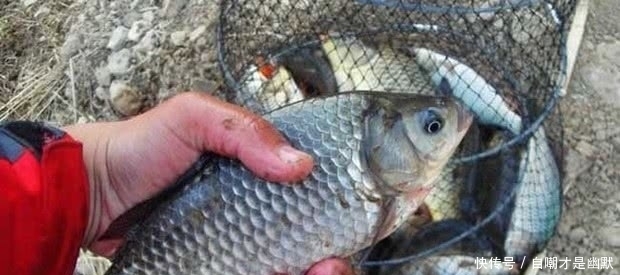 透露|冬钓不会调漂?老钓友首次透露调漂三大原则,钓友:怎么现在才说