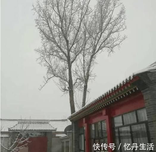 别院|农村房子土?那是没见过我改造的农家别院,土豪出300万我都不卖