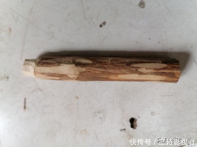 钓鱼支架还在掏钱买吗?为何不利用废鱼竿+树Y做一个,一样好用