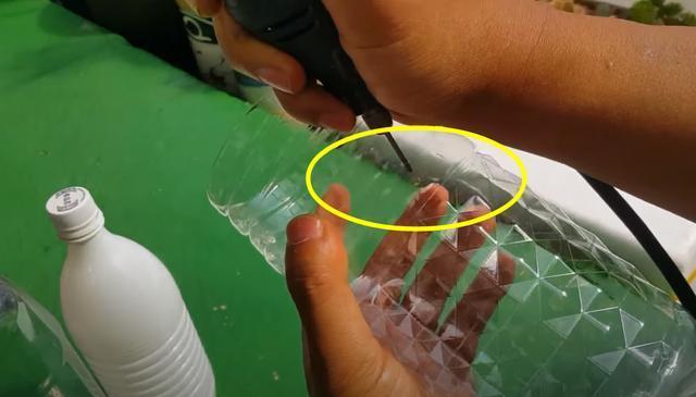 攒了1个月的塑料瓶,瓶口朝下一个扣一个,用来扦插多肉,生根快