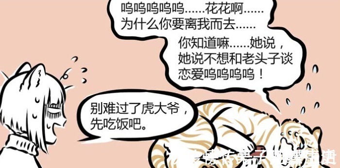 神兽|非人哉白虎失恋，看到前任照片倒地痛哭，九月端着肉来安慰